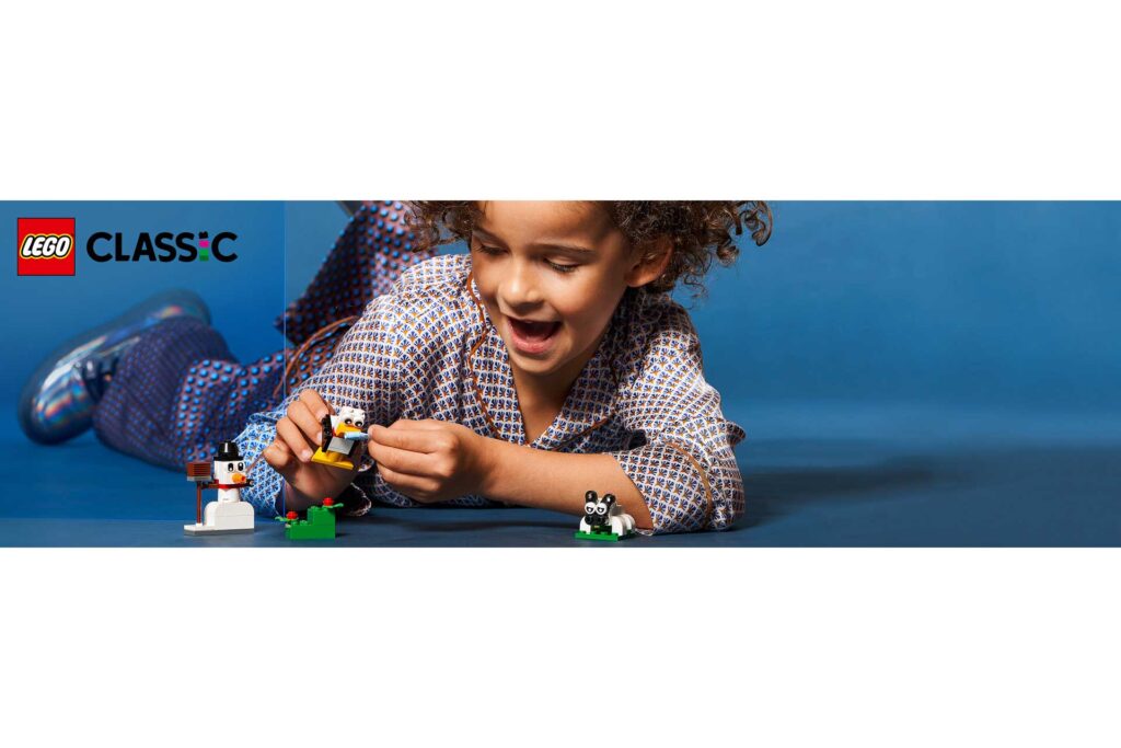 LEGO 11012 Classic Creatieve witte stenen - Afbeelding 24