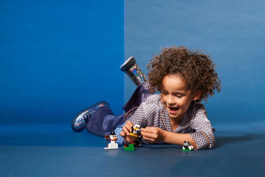 LEGO 11012 Classic Creatieve witte stenen - Afbeelding 21