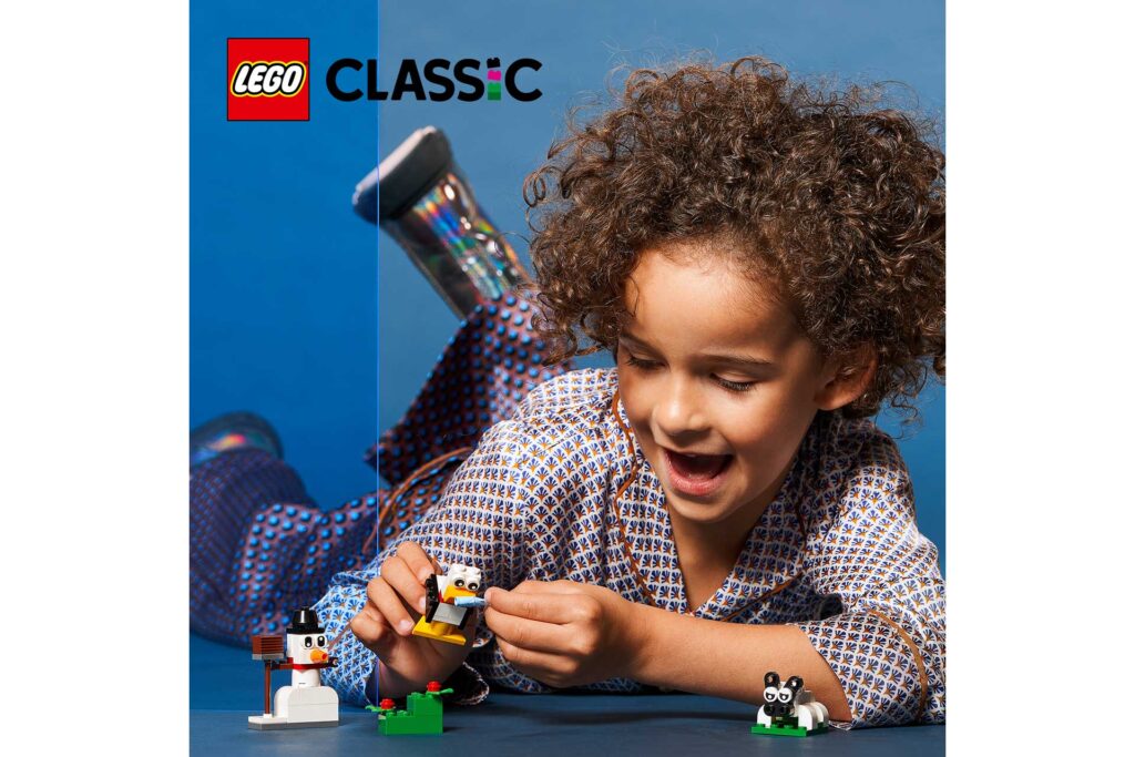 LEGO 11012 Classic Creatieve witte stenen - Afbeelding 23