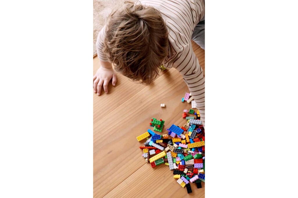 LEGO 11016 Classic Creatieve bouwstenen - Afbeelding 30
