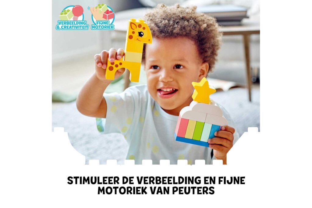 LEGO 10978 DUPLO Tijd voor creatief bouwplezier - Afbeelding 7