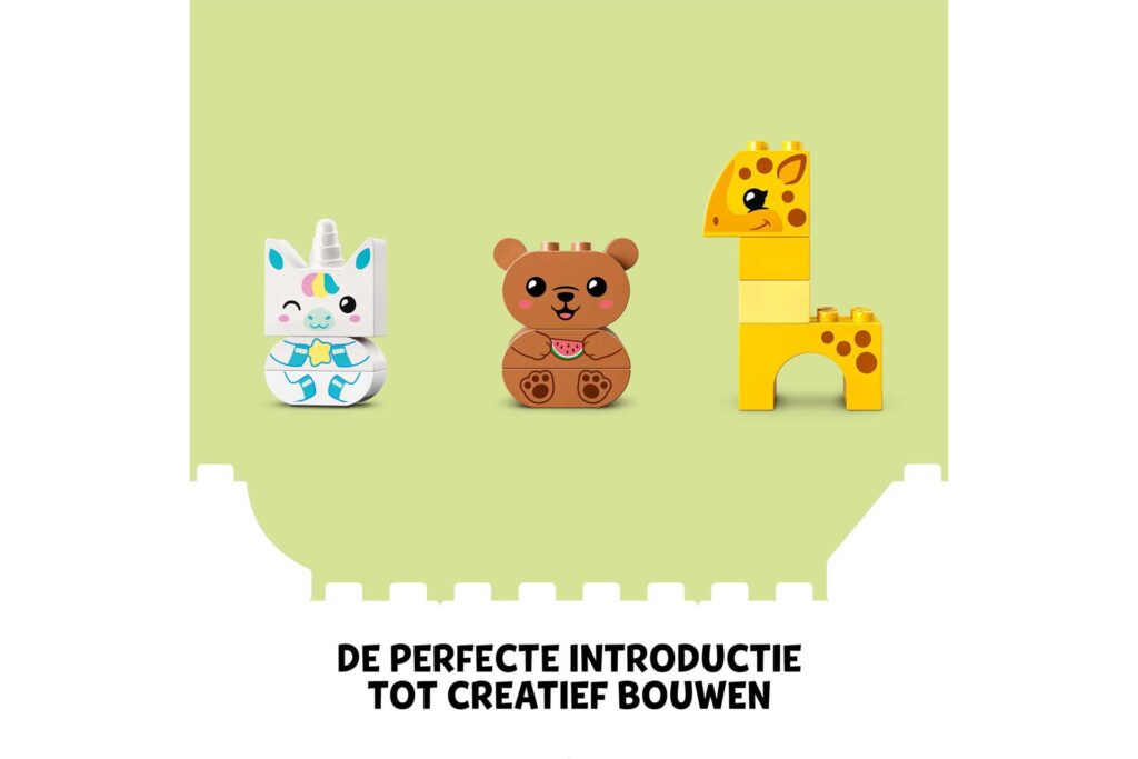 LEGO 10978 DUPLO Tijd voor creatief bouwplezier - Afbeelding 4