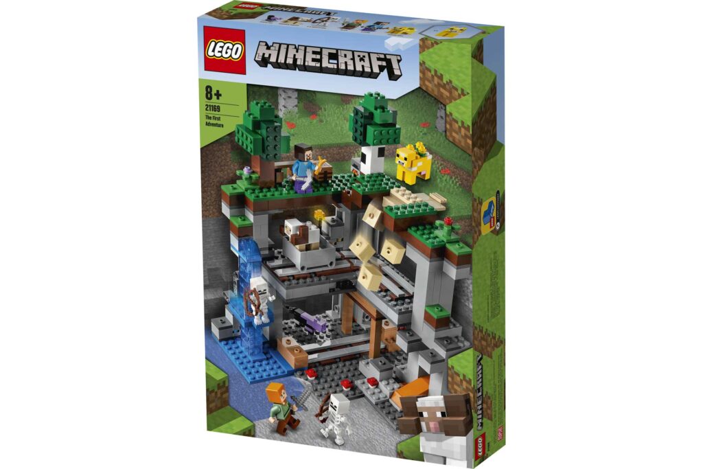 LEGO 21169 MINECRAFT Het allereerste avontuur - Afbeelding 14