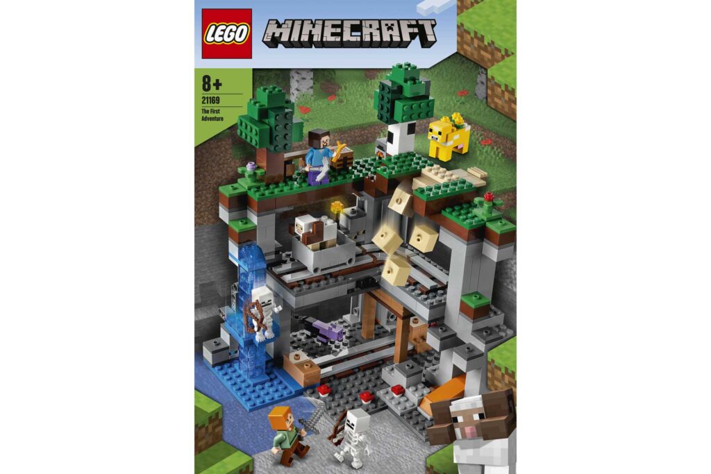 LEGO 21169 MINECRAFT Het allereerste avontuur - Afbeelding 13