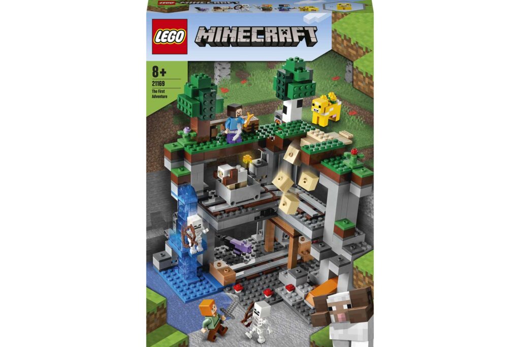 LEGO 21169 MINECRAFT Het allereerste avontuur - Afbeelding 12
