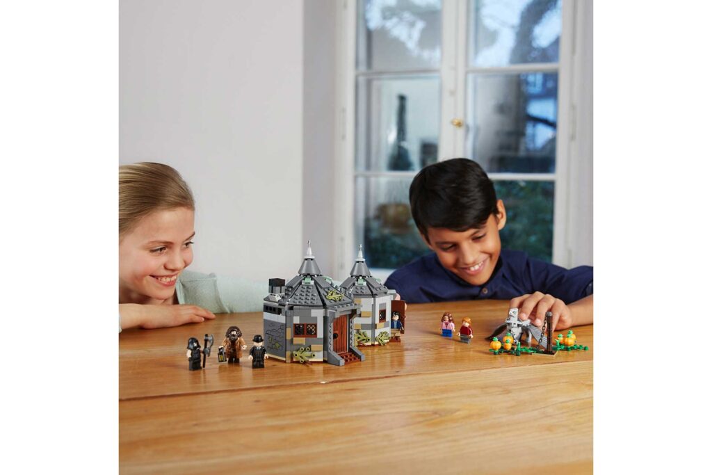 LEGO 75947 Harry Potter Hagrids Huisje - Afbeelding 3